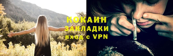 прущие грибы Майский