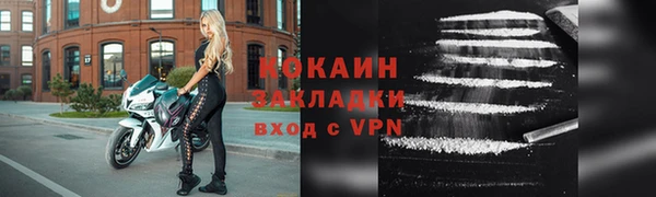 прущие грибы Майский
