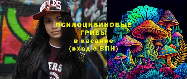 амф Магадан