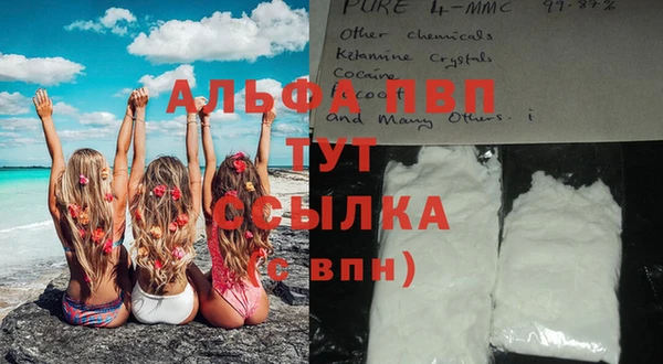 прущие грибы Майский