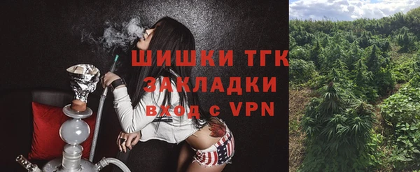 прущие грибы Майский